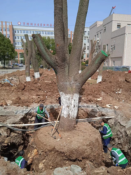 園林工程